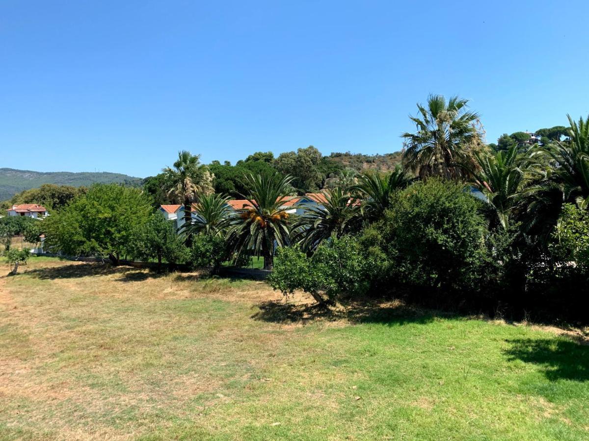 Villas Alexandra Skiathos Platanias  Eksteriør billede