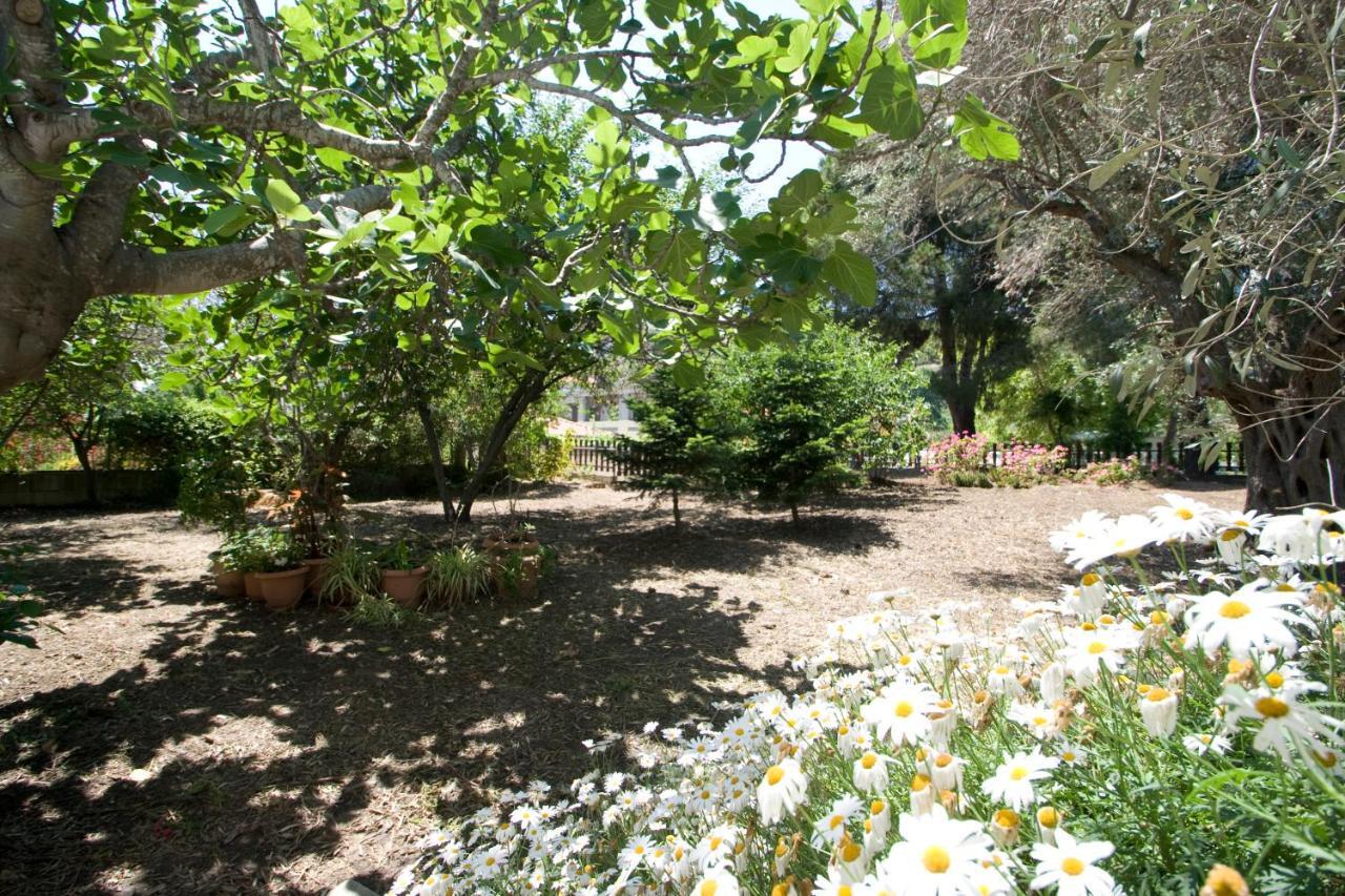 Villas Alexandra Skiathos Platanias  Eksteriør billede