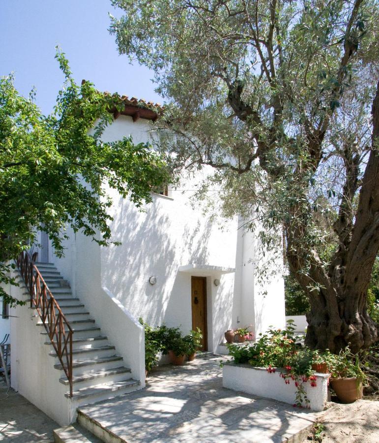 Villas Alexandra Skiathos Platanias  Eksteriør billede